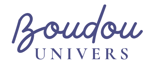 logo Boudou Univers